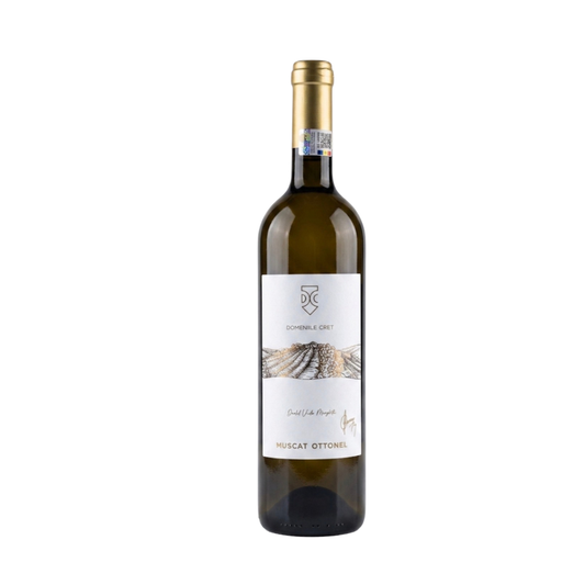 Muscat Ottonel